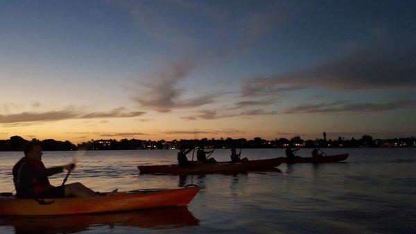 Our guided night kayaking tours are unforgettable memories.