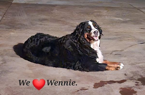 Wennie