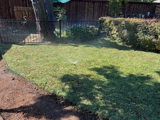 Watering in the completed backyard.