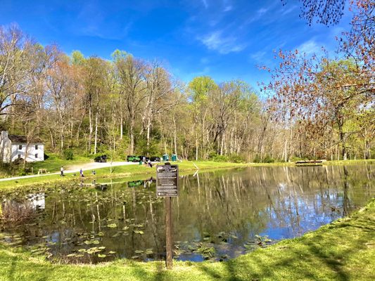 Hibernia County Park -- Children's Fishing Pond