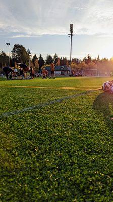 Wilson Playfields