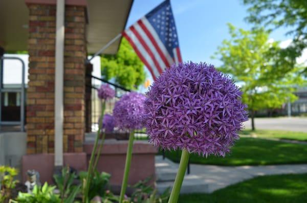 Cache Valley Hearing and Audiology