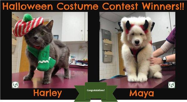 Our 2017 Halloween Costume Contest winners: Harley and Maya.  Congratulations!