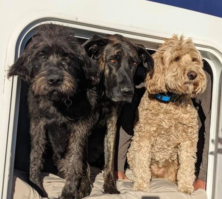 Opal, Luke and Holly