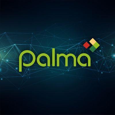 Palma Financial Services