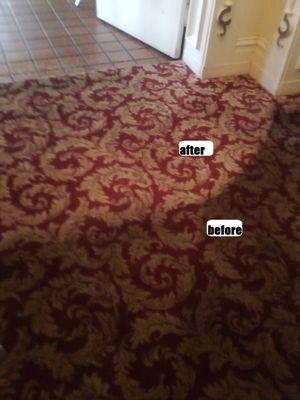 Lewie's Carpet Cleaning