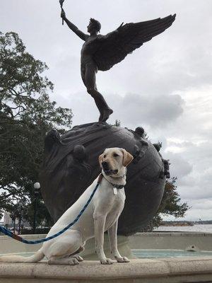 Bode on his field trip with d.o.g.