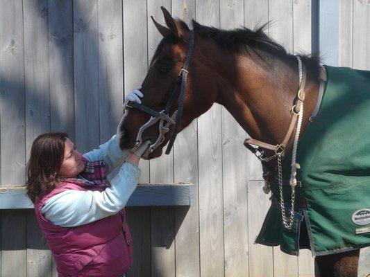 Mid-Hudson Veterinary Practice