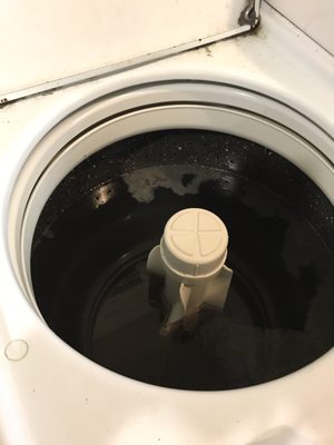 For a full 90 days this washer sat, full with stagnant water, and a disgusting film developed ... and an odor.