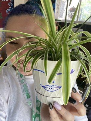 A budtender at Little Green Pharmacy holding one of the many plants that grow in our dispensary.