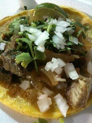 Carnitas taco