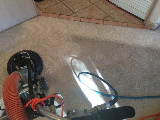 carpet cleaning in Broomfield