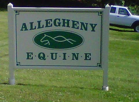 Allegheny Equine Associates