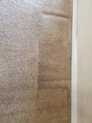 Garden Grove Pro Carpet Care