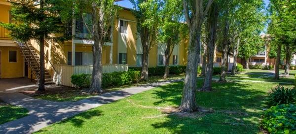 Monterey Pine Apartments by Apartment Management Consultants