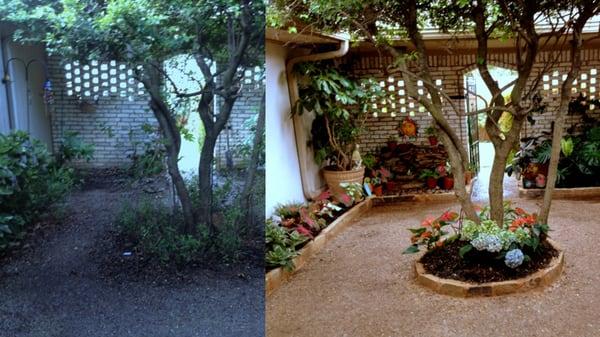 Before and After landscaping job