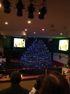 Living Christmas Tree