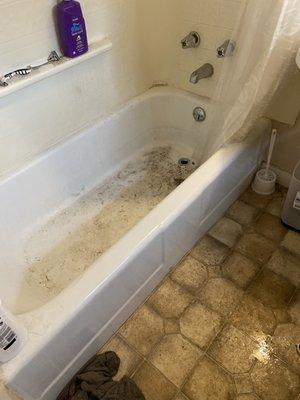 My toilet was broken, flooded and brought urine and feces in my tub