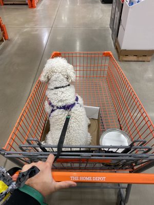 Home Services at the Home Depot