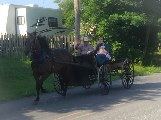 Watching the awesome Amish buggies from our camp spot!