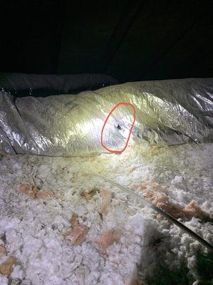 Rodents tore into air ducts of a home.