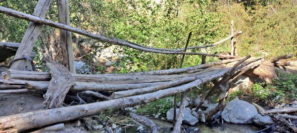 Wooden Bridge