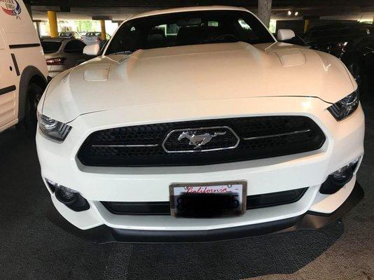 50 Year Ans Edition Mustang GT  Got DAB Deluxe Detail Package At DAB Auto Spa