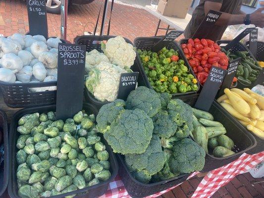 Garlic, brussel sprouts, broccoli, cauliflower, squash, peppers