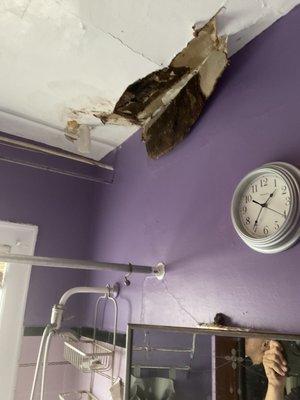 Ceiling fell no maintenance to address