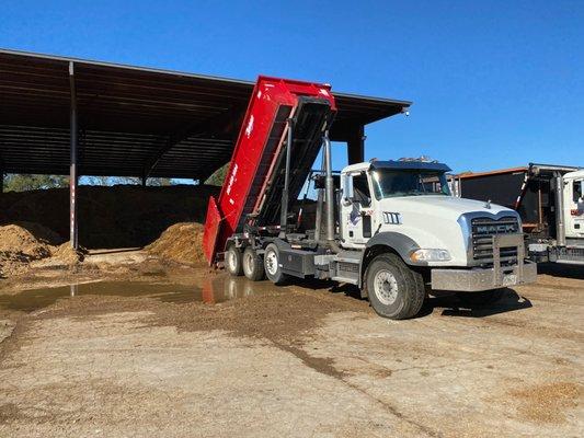 Horse manure dump