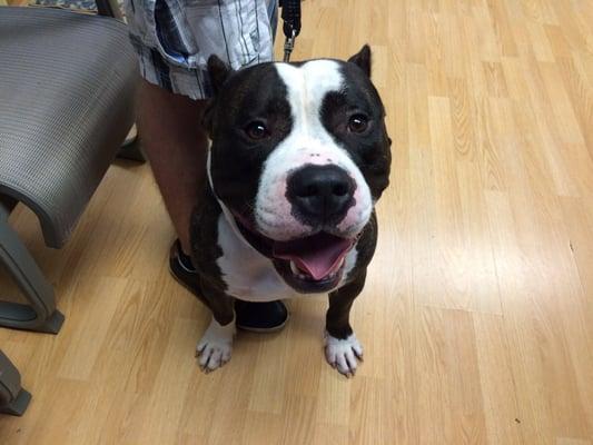 Harvey in the lobby at Indian bridge, ALL SMILES!