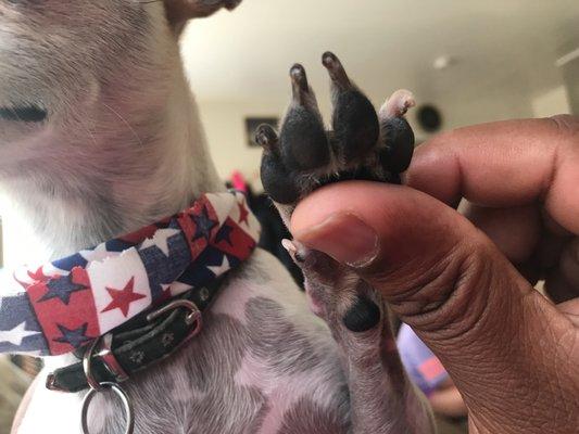 Uneven nail trim