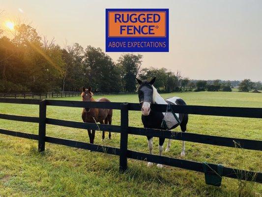 Paddock Fence