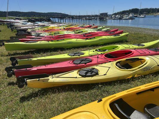 If you're going out into the main channel, you need to use a kayak with rudder.