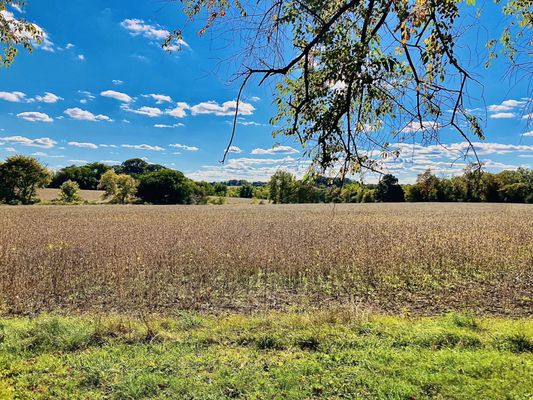 Norristown Farm Park