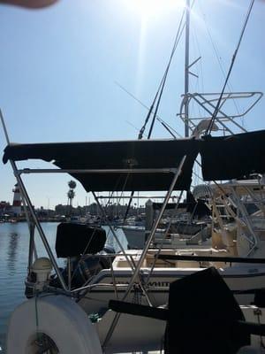 Bimini Top - Starboard view