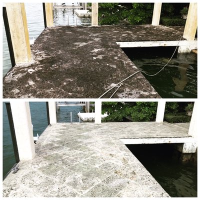 Coral Dock Cleaning #wecanpressurecleanthat