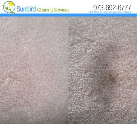 Carpet Cleaning Stain Removal - Before & After