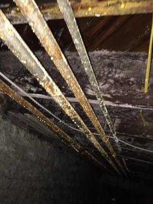 Mold growth on piping and floor joists due to condensation from broken water pipe.