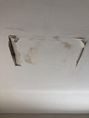 MOLD IN THE BEDROOM