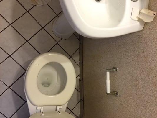 There's the sink right in the way forcing guests to sit or squat sideways on the toilet seat.  Stupidity at its finest