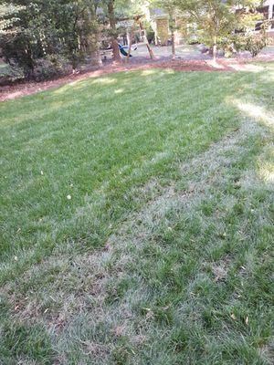 This is my Super Sod lawn after being installed 2 months ago. No call back..