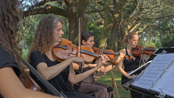 String Quartet performing at Legare Waring House, Charleston.  By Palmetto Strings