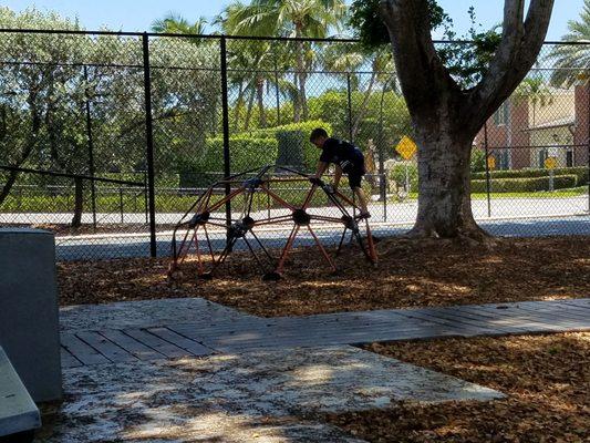 Small metal jungle gym dome (old school).