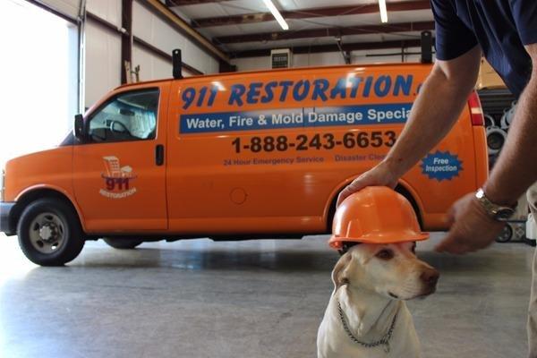 911 Restoration is pet-friendly of course!