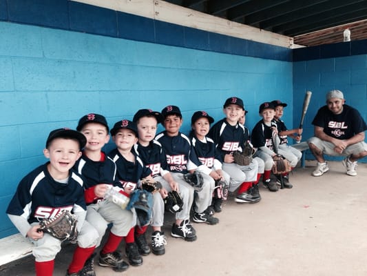 T-ball 2014 Spring Champions!