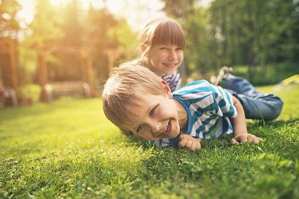 Lawn Doctor Of Longmont