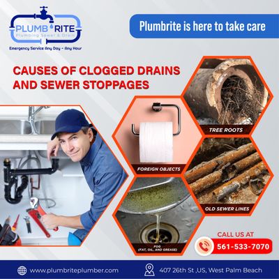 Plumbrite Plumbing Sewer And Drain