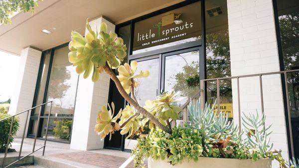 Welcome to Little Sprouts!