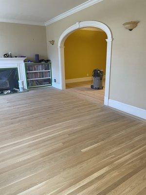 Lugo Hardwood Floor